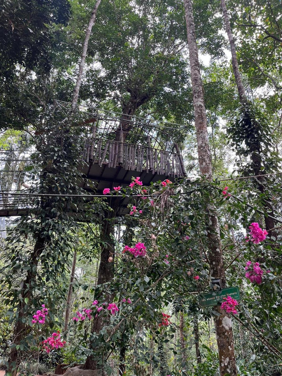 Jungle Jive Treehouse And Farm House 무나르 외부 사진