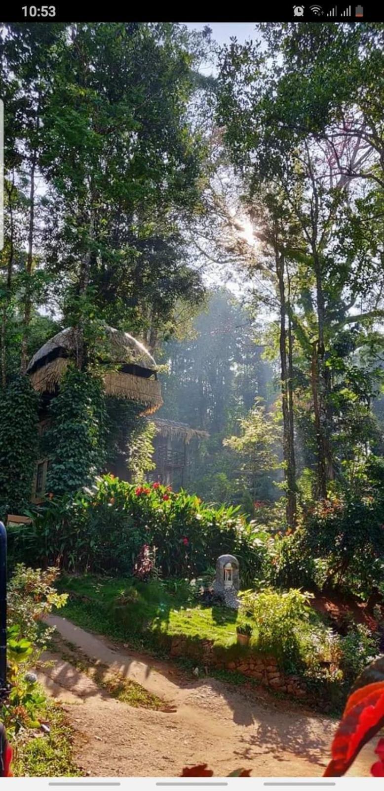 Jungle Jive Treehouse And Farm House 무나르 외부 사진